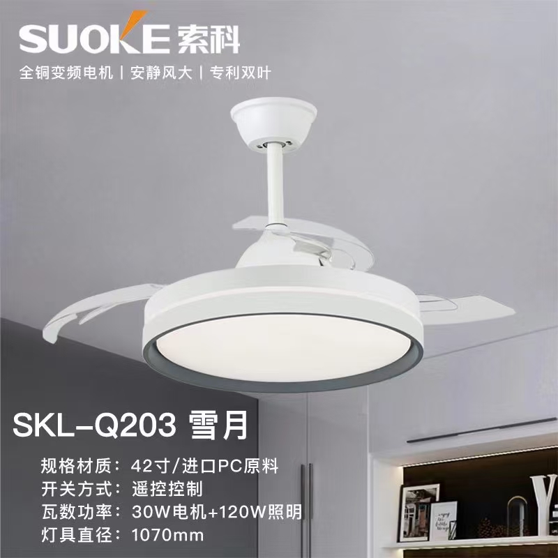 索科风扇灯2024 索科风扇灯2024